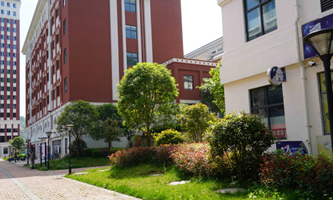 xt(y)ƴW(xu)t(y)W(xu)cƼW(xu)Ժ