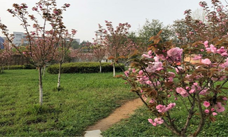 Ft(y)ƴW(xu)t(y)ˎW(xu)Ժ