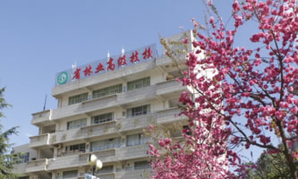 ʡ֘I(y)߼(j)W(xu)У