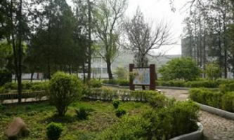 hhëI(y)g(sh)W(xu)У