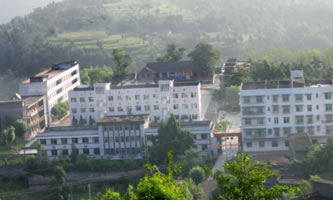 а݅^(q)I(y)ЌW(xu)