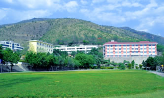 ԪhI(y)߼(j)ЌW(xu)