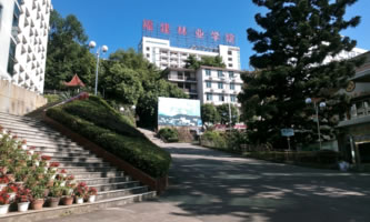 ֘I(y)I(y)g(sh)WԺ