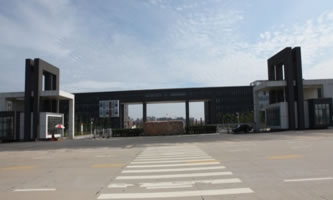 O(sh)I(y)g(sh)W(xu)Ժ