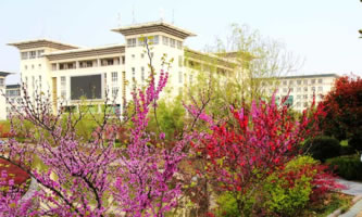 t(y)ˎߵȌƌW(xu)У