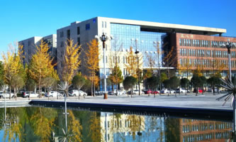 F·I(y)g(sh)W(xu)Ժ