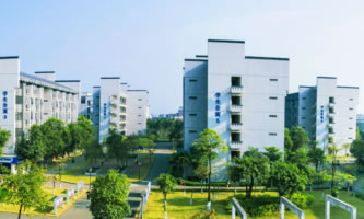 V|I(y)g(sh)W(xu)Ժ