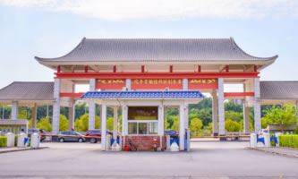 V|(chung)¿ƼI(y)WԺ