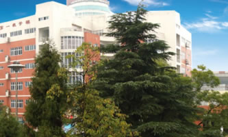 t(y)W(xu)Ժt(y)Ժo(h)ʿW(xu)У