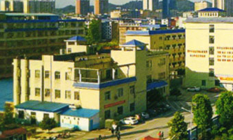 hI(y)g(sh)W(xu)У