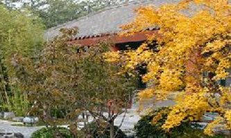 п(hu)W(xu)й(hu)ɲW(xu)Ժ