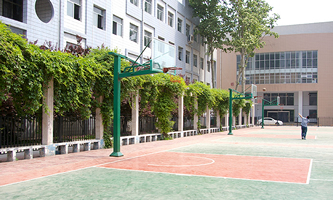 l(xing)еȌI(y)W(xu)У