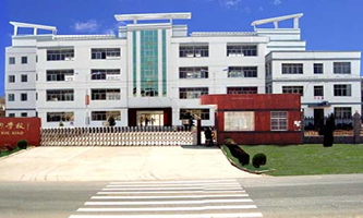 ̫(dng)I(y)g(sh)W(xu)У