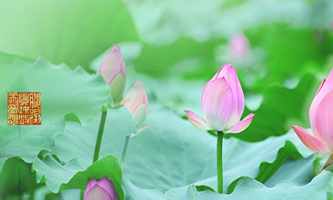 �����и���^(q��)��ɏС�W(xu��)