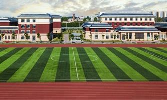 ʯ���f���ΌWУ