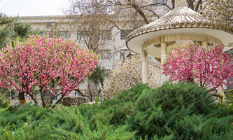 ����������x�W(xu��)Ժ