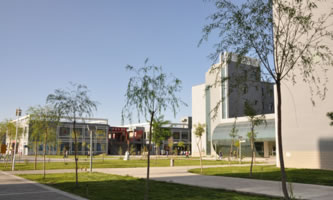 Cʡұ߼g(sh)WԺCұ𼼎WԺ