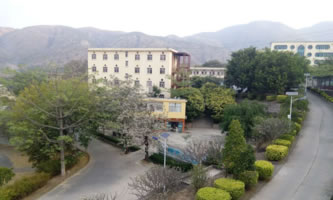 Ԫ���h�I(y��)�߼��ЌW(xu��)