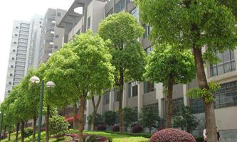 Ϲ̴W(xu)2022ˮƽ\(yn)(dng)(du)(jin)