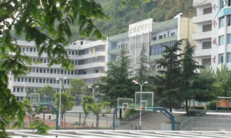 �_�����I(y��)�߼��ЌW(xu��)