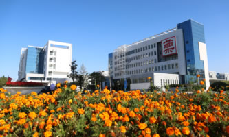 ɽ|t(y)ˎߵȌƌW(xu)У