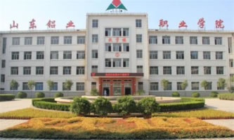 ɽ|XI(y)I(y)W(xu)Ժ