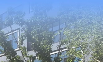 ɶЬF(xin)I(y)gWУ