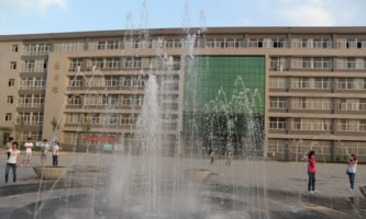 ʯfؔ(ci)(jng)I(y)W(xu)Ժ