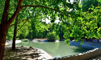 ʯfн(jng)I(y)W(xu)Ժ