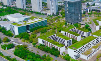 ϢI(y)g(sh)W(xu)Ժ