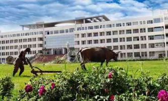 (ni)ɹg(sh)I(y)W(xu)Ժ