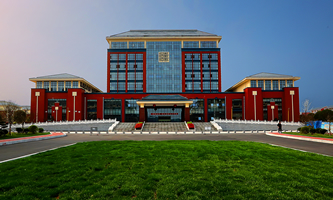 Ƽl(xing)l(wi)I(y)W(xu)Ժ