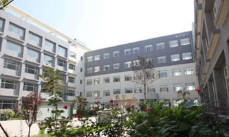 ĴӢt(y)B(yng)ƼW(xu)У