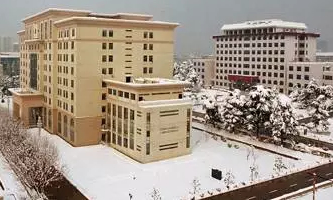 �܊���̴�W