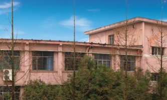 �����t(y��)�W(xu��)Ժ�����t(y��)Ժ�o(h��)ʿ�W(xu��)У