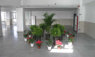 б^(q)еI(y)g(sh)W(xu)У