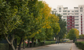 ����н������̌WУ