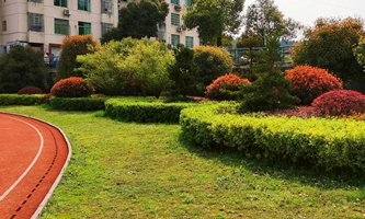 ƽhI(y)g(sh)W(xu)У