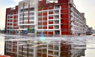 t(y)ƴW(xu)Rt(y)W(xu)Ժ