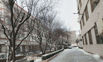 ƽ�ɽ����Z�WУ