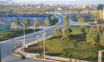 ͨl(wi)I(y)W(xu)Ժ