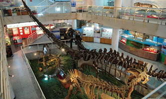 ЇƌW(xu)Ժż׵(dng)cо