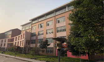 Ft(y)ƴW(xu)t(y)ˎW(xu)Ժ