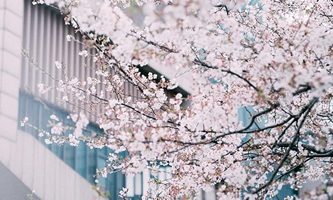 ͬ��(j��)��W(xu��)�㽭�W(xu��)Ժ