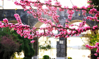 hO(sh)Ӌ(j)̌W(xu)Ժ