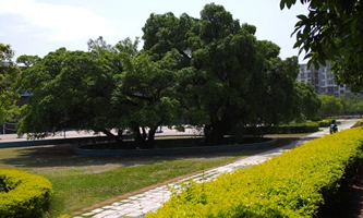 �M�ώ�����W(xu��)�Ƽ��W(xu��)Ժ