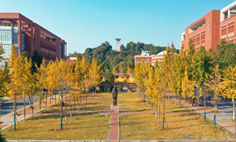 �Lɳ������W(xu��)���όW(xu��)Ժ