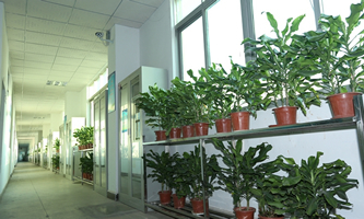 �|ݸ���е¼����W(xu��)У