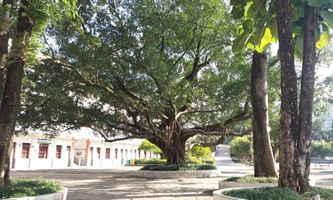 ƽ�h(yu��n)�h�I(y��)���g(sh��)�W(xu��)У