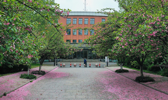 ЇƌWgWڶAWưμWB(yng)Ӌ2.0